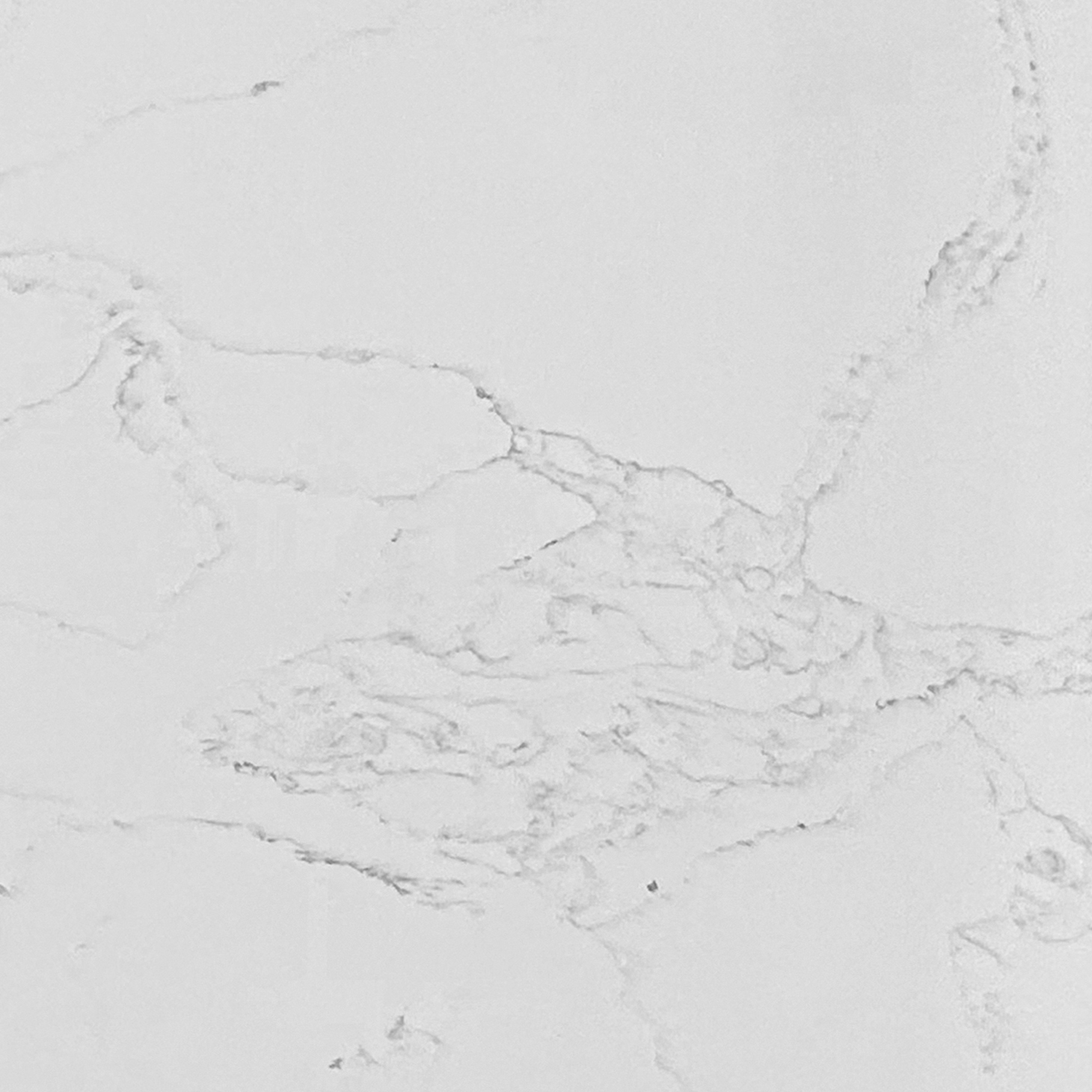 D1701 BIANCO VENATINO